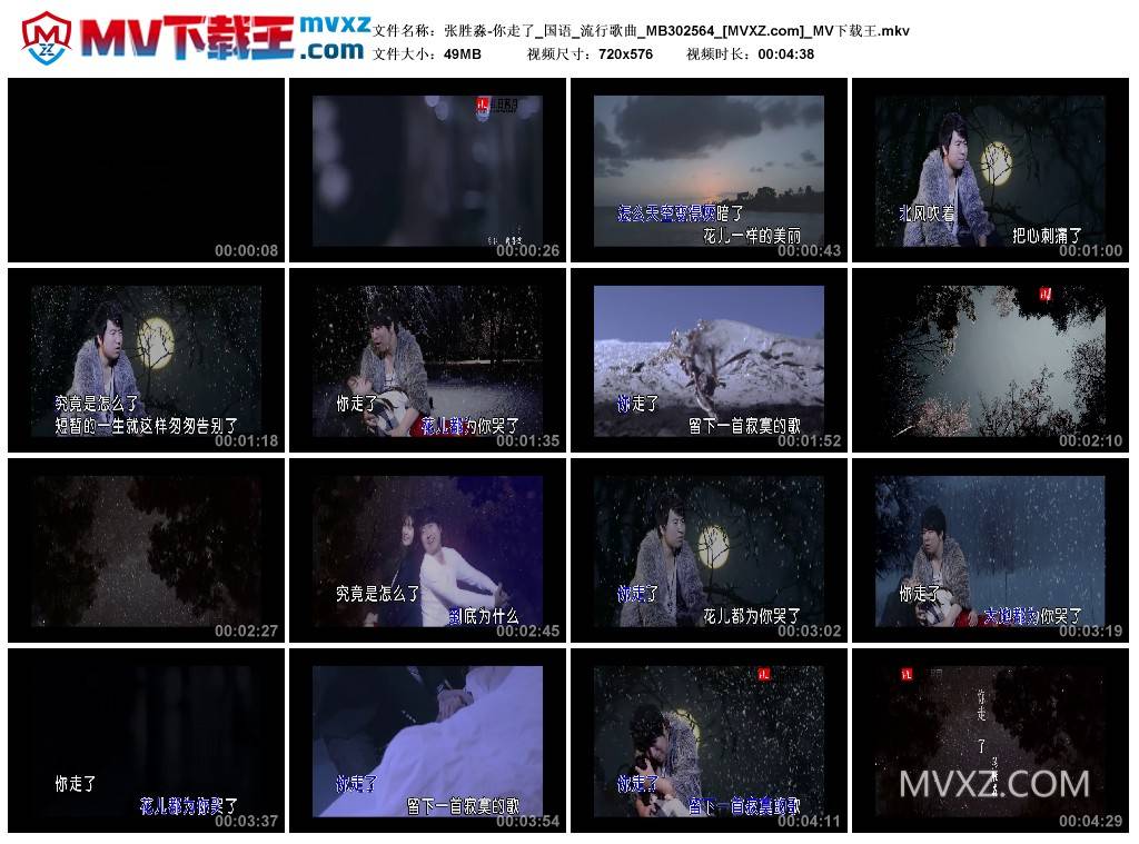 张胜淼-你走了_国语_流行歌曲_MB302564